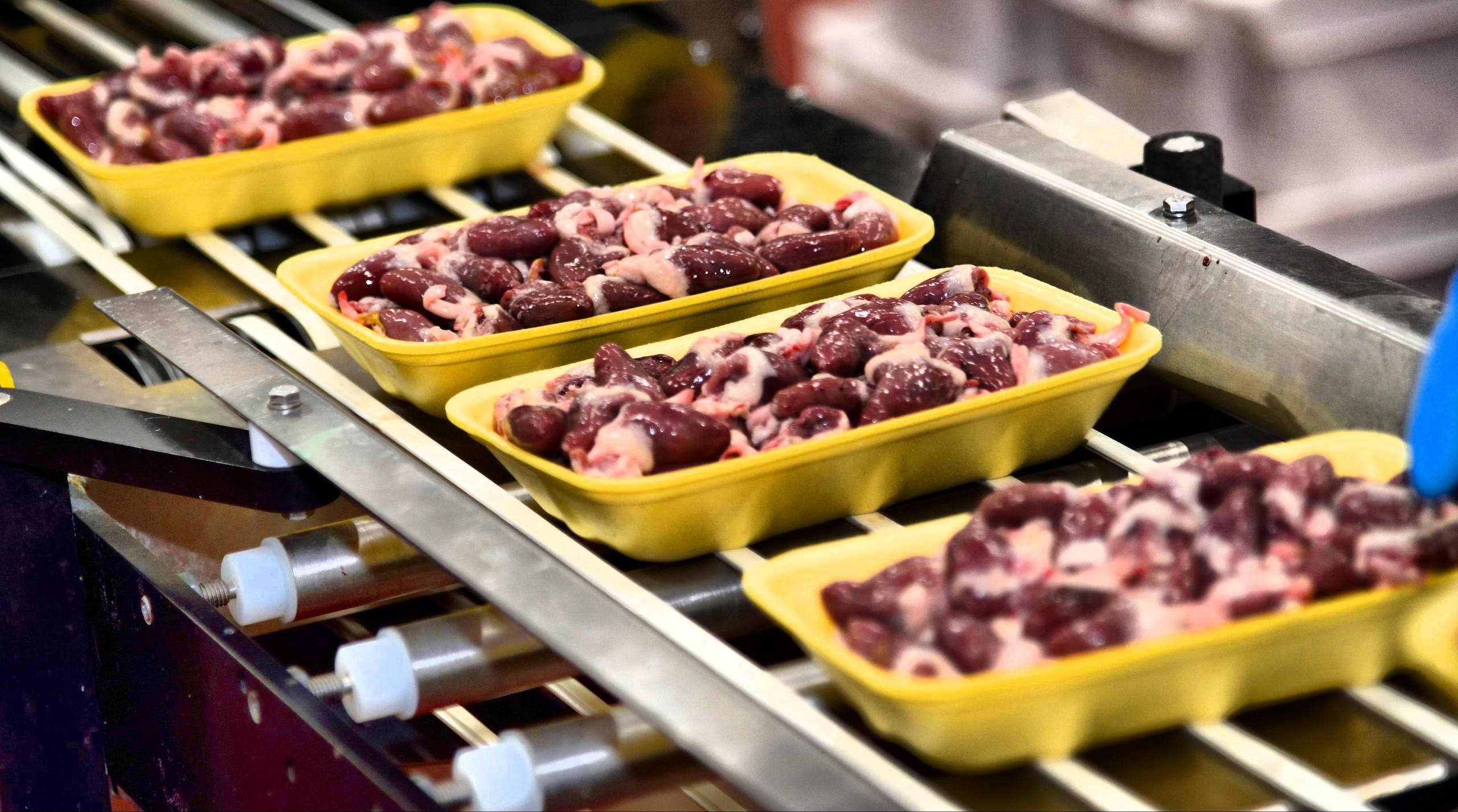 Более 20 инвестпроектов по переработке сельхозпродукции получили поддержку в 2024–2025 годах в Дагестане